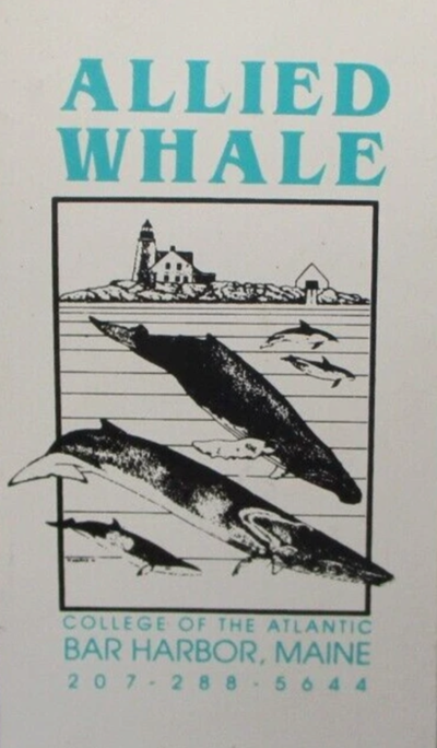 <p dir="ltr">Humans and the Great Whales changes its name to Allied Whale</p><div>&nbsp;</div>